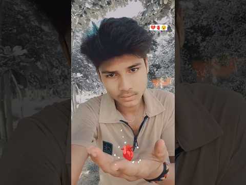 Mukesh Yadav 4 ka reel #reel #love #video #song #bhojapurihitsong #newreel #sad