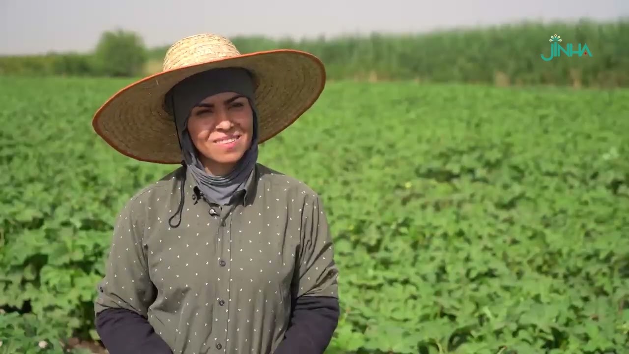 سومەیە بۆ تەواوکردنی ماستەرەکەی کرێکاری دەکات