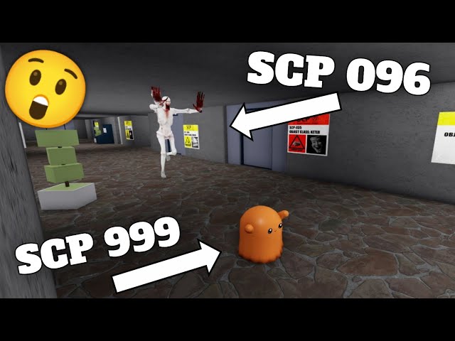 SCP 999 - Roblox