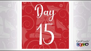 GeoFossils Advent Calendar Reveal 2021 - Day 15