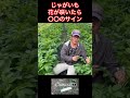 じゃがいもの花が咲いたら〇〇のサイン #野菜栽培 #へっぽこ農家
