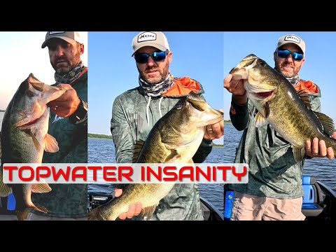 INSANE Topwater Bass Fishing at Lake Toho - The Kissimmee Chain