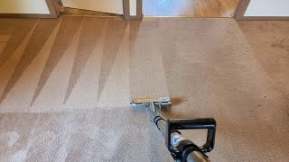 Tackling a dirty nylon carpet | Super Clean PRO Carpet and Upholstery Cleaning | Steam cleaning screenshot 3