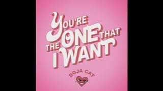 Download lagu Doja Cat - Youre The One That I Want (Instrumental)