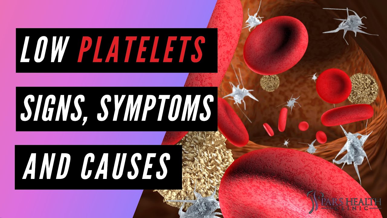 Low Platelets Signs And Symptoms YouTube low-platelets-in-pregnancy-epidural-pregnancywalls