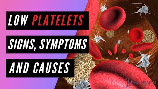 Low Platelets Signs and Symptoms screenshot 4