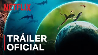 Nuestro mundo lleno de vida (SUBTITULADO) | Cate Blanchett | Tráiler oficial | Netflix