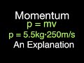 Understanding Linear Momentum
