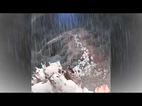 لشوق من صوت الطواريق ميعاد