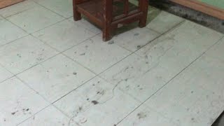 HOUSE REPAIR: Replacing old floor tiles with New tiles, step by step procedure l FoodPH Atbp