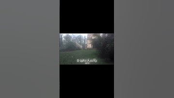 قران كريم #قران_كريم #لايك #اكسبلور