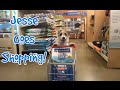 Jesse the Shopping Dog