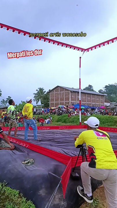 Turun dor #lombamerpatiterbaru #merpati #merpatikolong