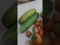 kuchh organic vegetable mere bagiche ke
