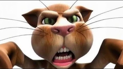 The Creators of Talking Tom are SHADY