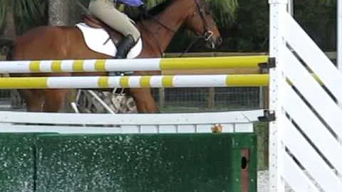 coraline wellington 3 12 15 031