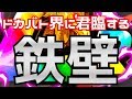 【ドッカンバトル501】ドカバト最重要ポジションを制する者【短期戦最強DEF】【Dragon Ball Z Dokkan Battle】