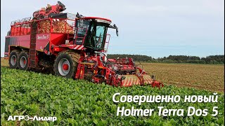 Совершенно новый свеклоуборочный комбайн Holmer Terra Dos 5