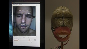 Animatronic Controlled by Facial Motion Capture