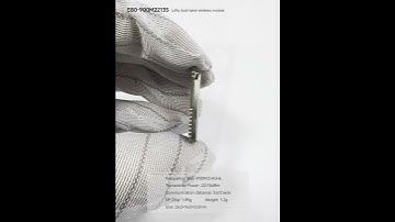 E80-900M2213S LR1121 chip LoRa hardware SPI module LoRa dual-band wireless RF transceiver module.