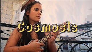 COSMOSIS - BRIELA OJEDA // COVER