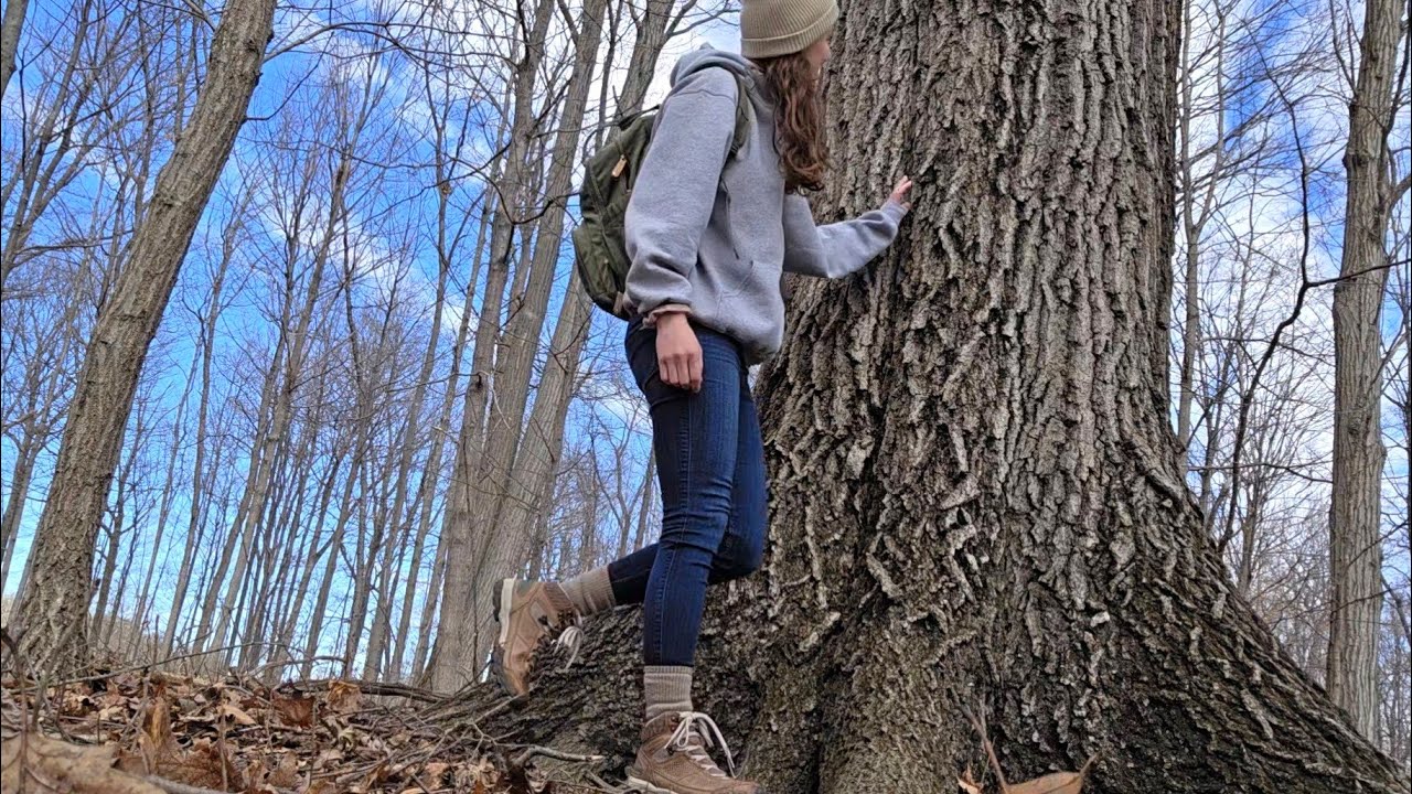 Загадочная болотная тропа!