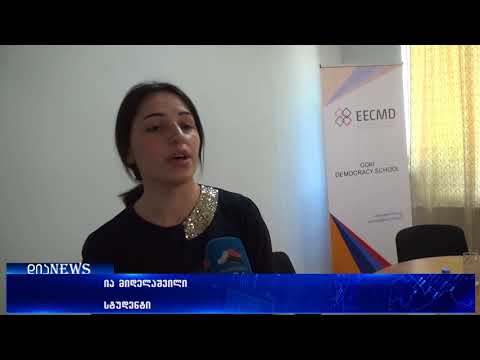 პარლამენტის წევრი თემურ ხუბულური გორელ ახალგაზრდებს შეხვდა 01.05.2018