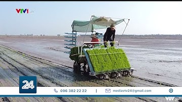 Liên kết doanh nghiệp - nông dân để khôi phục sản xuất | VTV24