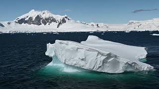 Antarctique Cuverville Island et Leith Cove