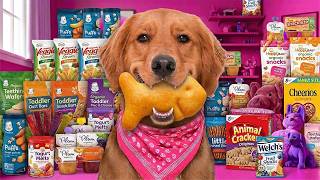 My Dog Rates My Toddler's Favorite Snacks!