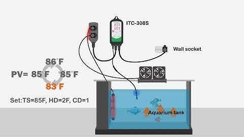 ITC 308S Aquarium Probe Temperature Controller