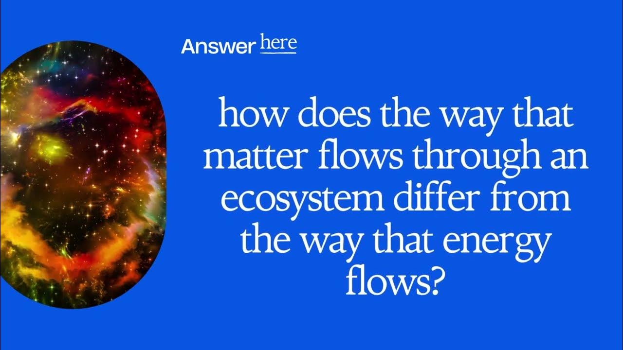how-does-the-way-that-matter-flows-through-an-ecosystem-differ-from-the