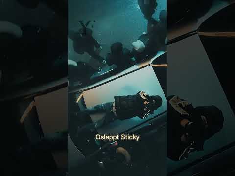Snippet från osläppt