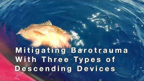Mitigating Barotrauma With Three Types of Descending Devices