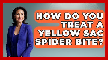 How Do You Treat A Yellow Sac Spider Bite? - Insects and Invaders