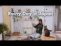 Daily Life in Japan 🇯🇵 A Rainy Day at Home Alone with My Cat | Fried Rice & Cookies | Vlog