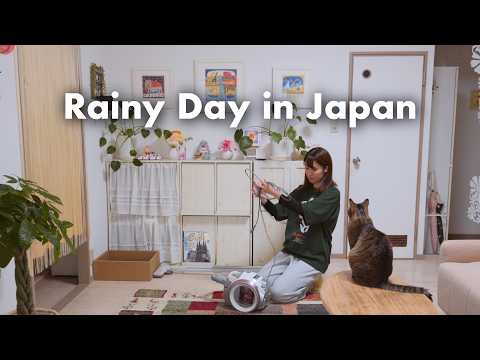 Daily Life in Japan 🇯🇵 A Rainy Day at Home Alone with My Cat | Fried Rice & Cookies | Vlog thumbnail