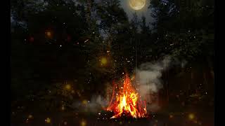 ✨Campfire Under the Starry Forest✨ 3 HOURS Campfire Ambience