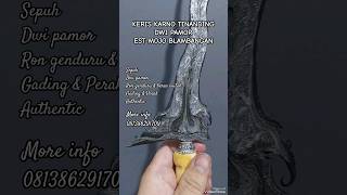 Keris Karno Tinanding, dwi Pamor ron genduru&beras wutah, Gading, Perak, est Mojo Blambangan #pusaka