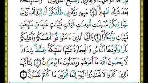 ختمة مصحف التجويد برواية ورش الصفحة رقم 560