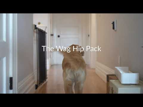 Wag Hip Pack