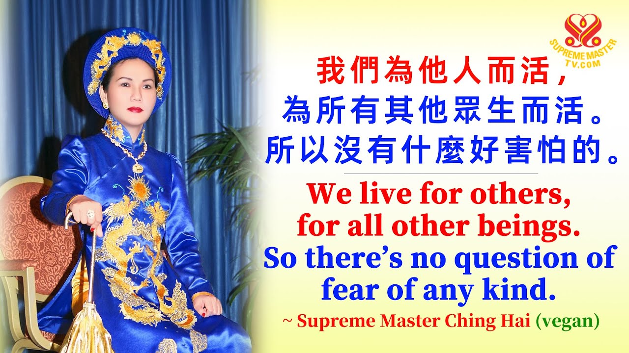 摯愛的清海無上師給無上師電視台團隊成員💖愛與鼓勵的訊息|Master’s Message of Love and Encouragement ...
