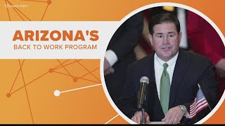 Connect the Dots: What to know about Arizona's Back to Work program