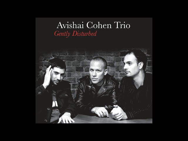 Avishai Cohen - The Ever Evolving Etude