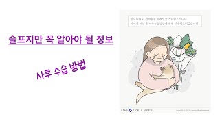 반려동물장례식장 스타티스 사후 수습 영상