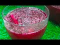 Winter Special Probiotic Drink | Healthy Fermented Drink | Carrot Beetroot Kanji | Kanji Recipe