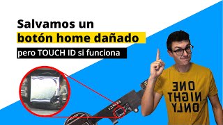 iPhone 7 Botón Home NO FUNCIONA  INCREÍBLE daño humano!