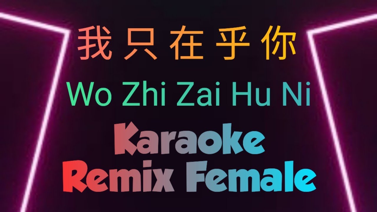 wo zhi zai hu ni karaoke remix female 我只在乎你