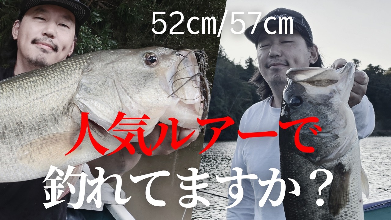 人気ルアーを追いかけても釣れない理由｜秋のバス釣り52cm・57cmを釣った本当の差