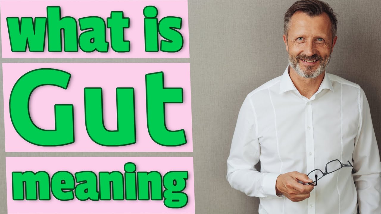 Gut Meaning Of Gut YouTube